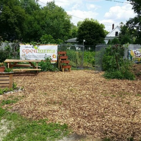 The garden, sign in the background, a picnic table, trees, and bushes