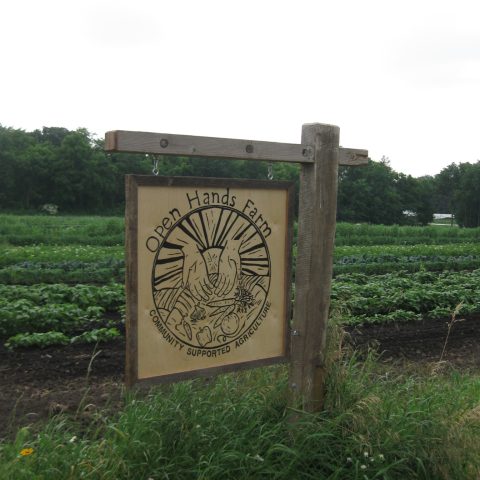 The sign to Open Hands Farm is wooden with their logo and it is near the field of growing vegetables