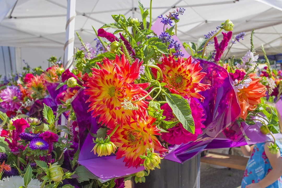 2018 03 02 Submitted Rochester Market flowers Minnesota Grown