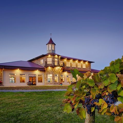 The outside of the winery, showing the night sky, a bush, and the lights of the winery are on