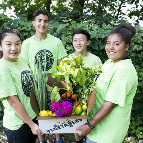 four youth with a csa produce box