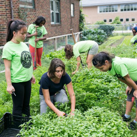 Youth in the garden receiving instruction from Summer.