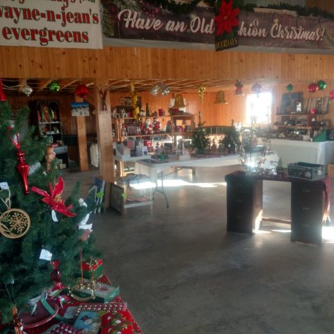 Store of Christmas decorations for sale, wood walls, and plenty of signs with the business names.