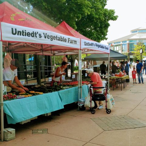 concrete pathway with farmer's markets along the left hand side. Untiedt's Vegetable Farm Tent is at the center left of the image. Green trees stand above the tents. A white cloudy sky is seen at the upper right of the image.