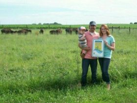 Family photo in the pasture with bison in the background