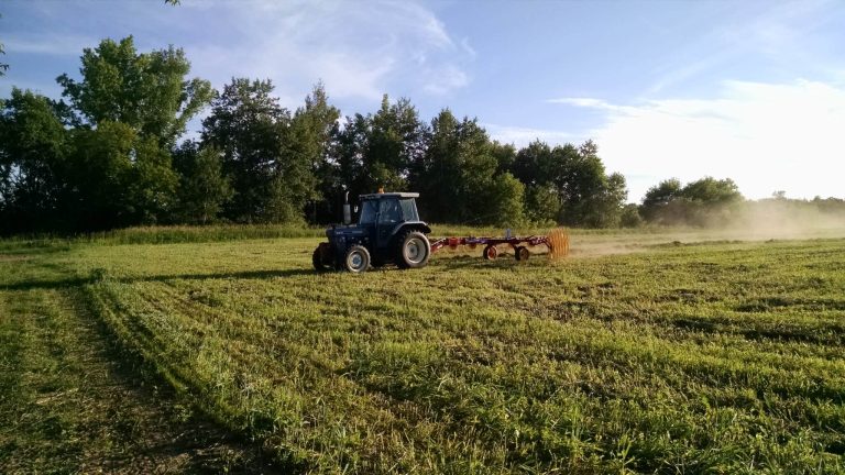 Tractor in field