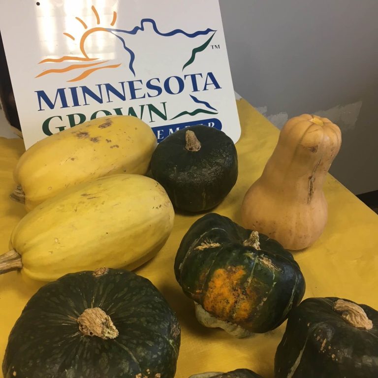 Fergus Falls Farmers Market winter squash