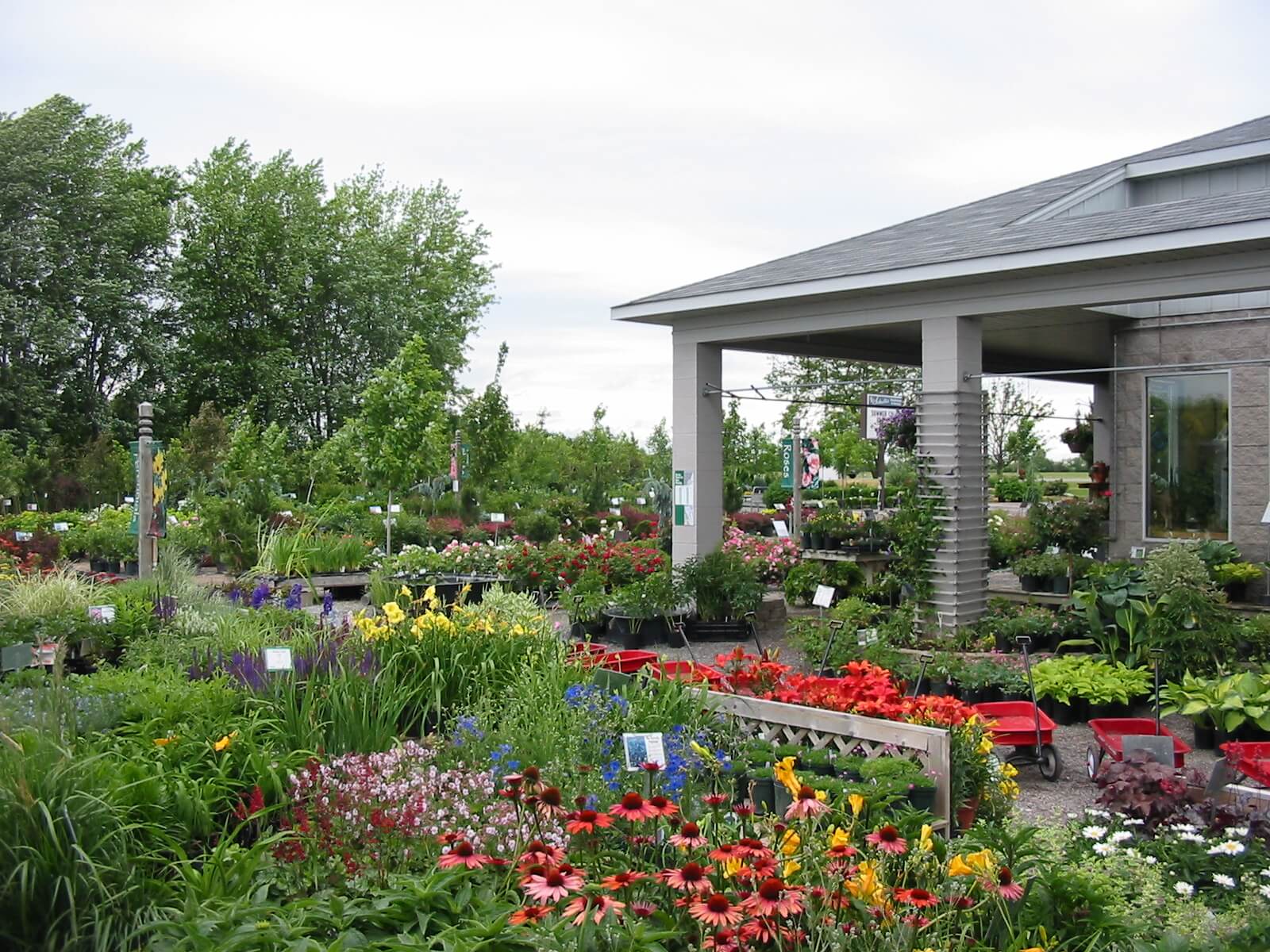 Schulte's Greenhouse & Nursery Minnesota Grown