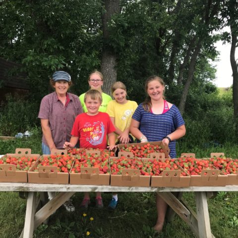 group of people standing behind a table covered in flats of freshly picked berries.