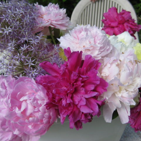 assorted pink and magenta flowers in a bucket