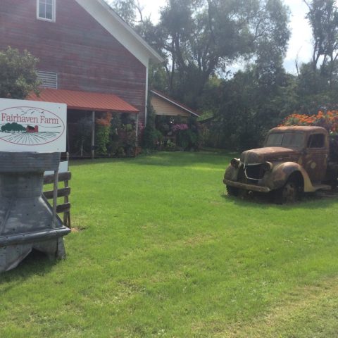 Fairhaven farm sing in front of a red barn and old pickup truck now being used as a flower bed