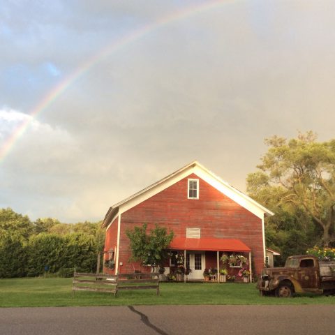 rainbow overhead of a red barn with rusted pickup out front