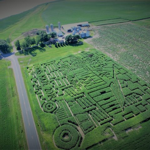 aerial corn maze view