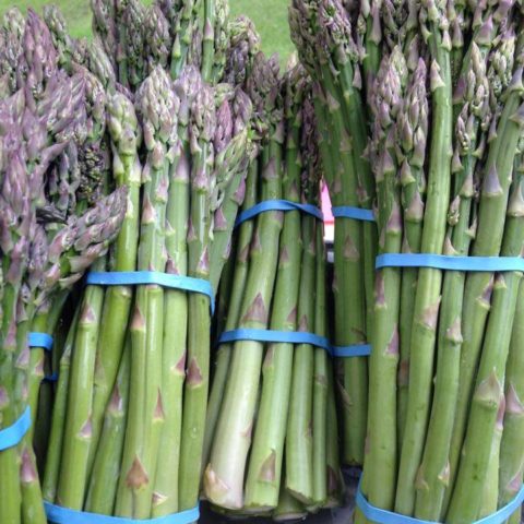 fresh asparagus