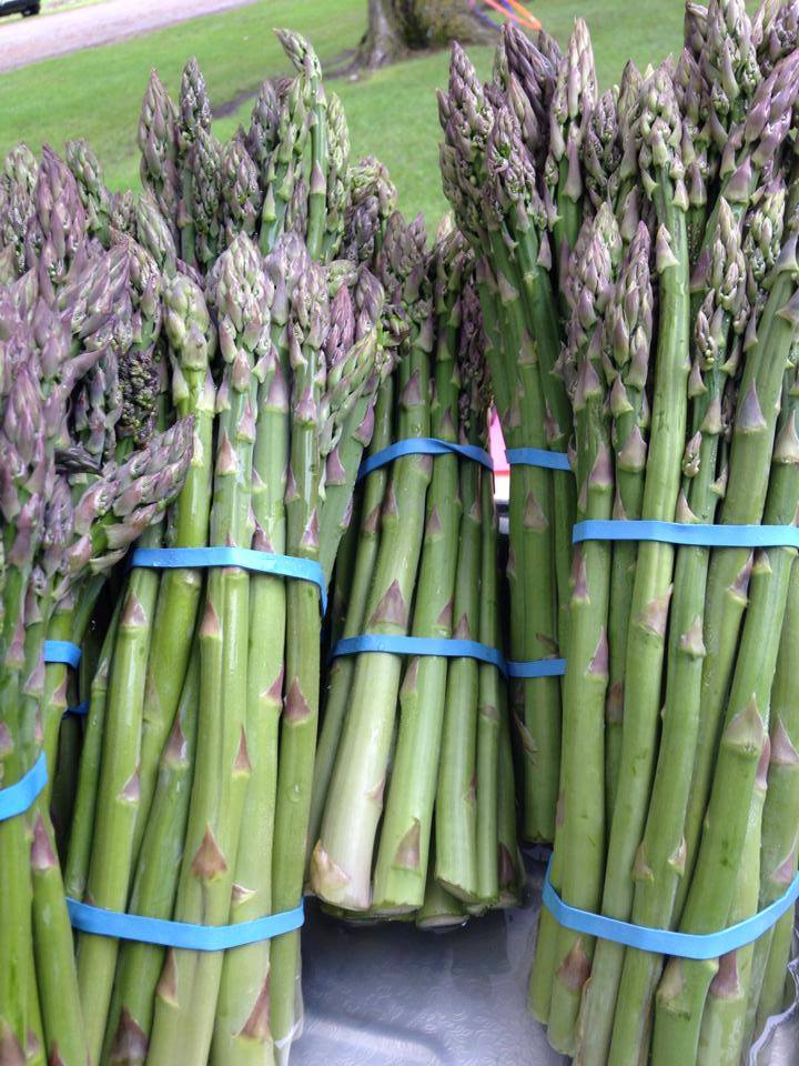 2018 09 24 Submitted Mentor FM asparagus Minnesota Grown