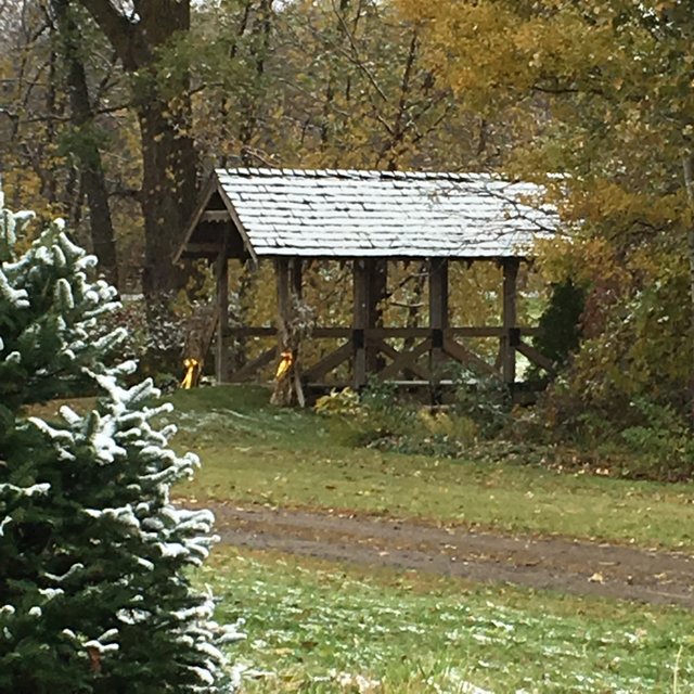 snow dusted covered bridge