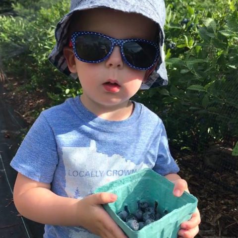 child with picked berries