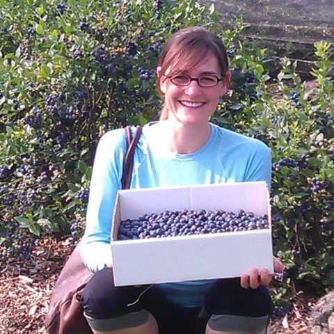 person holding huge bin of blueberries