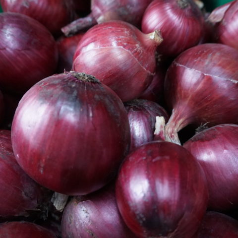 red onions close up