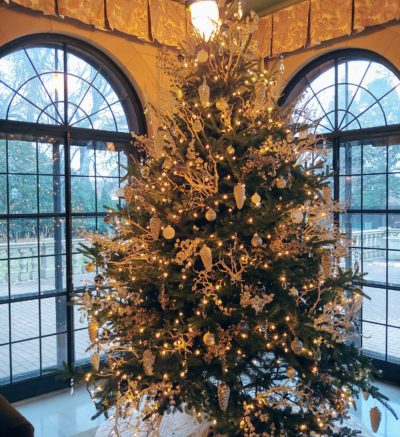 christmas tree in the Governor's residence
