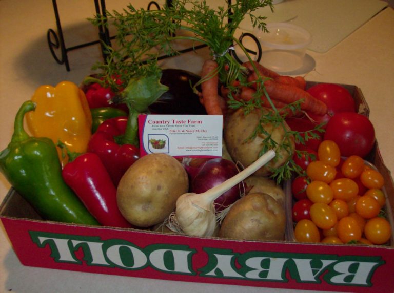 CSA box filled with vegetables