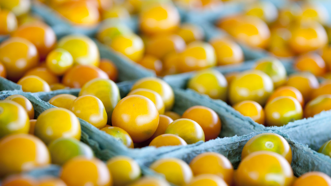 yellow cherry tomatoes closeup