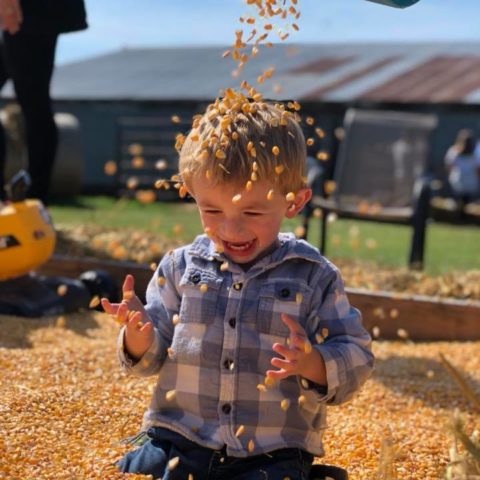 little boy playing in a corn pit