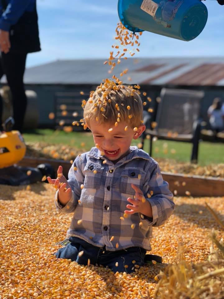 2019 01 04 Otter Berry Farm Submitted boy playing in corn pit (1 ...