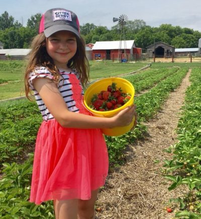 child holding a yellow of bucket of picked berries in a strawberry field