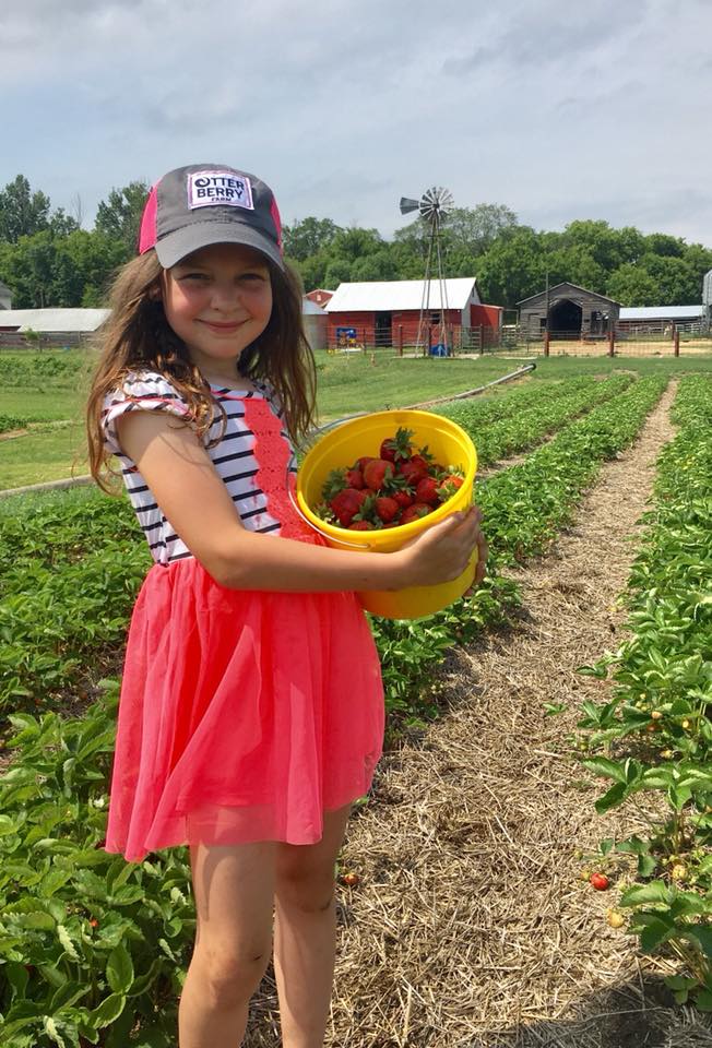 child holding a yellow of bucket of picked berries in a strawberry field