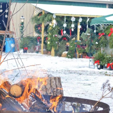 campfire in front of a wreath display