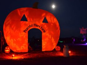 large pumpkin sign illuminated in the night