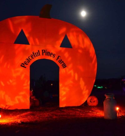large pumpkin sign illuminated in the night