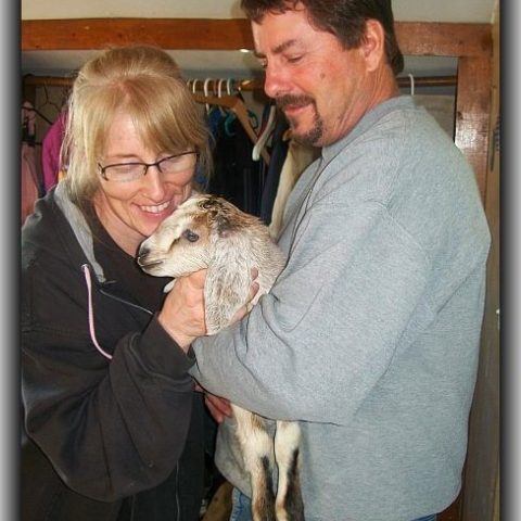 couple holding a goat kid