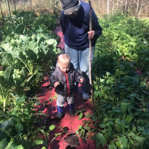 child playing in the garden with a grandparent