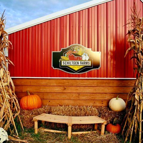 red barn hay bales and pumpkins along with a bench, corn stalks, and the Schiltgen Farm logo