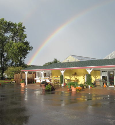 rainbow reaching over yellow garden center building with a tree in the background and grey skies