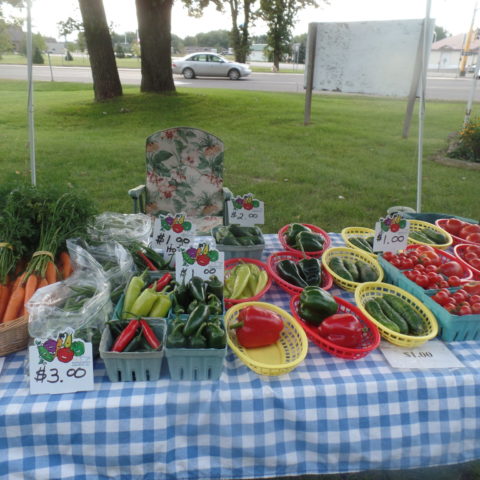produce display with peppers, carrots, and tomatoes