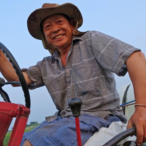 farmer riding a tractor