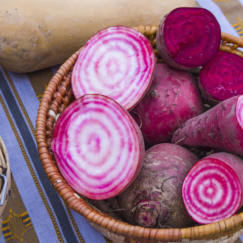 cut up watermelon radishes