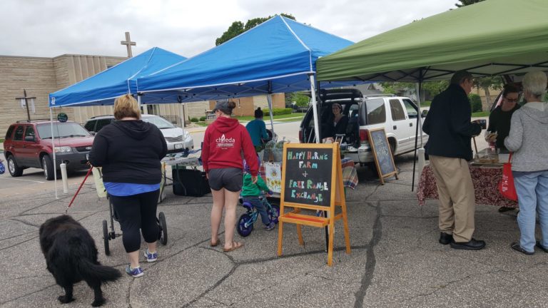 multiple booths at La Crescent farmers market