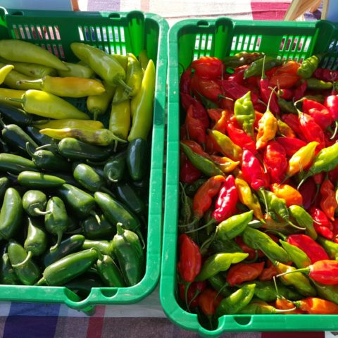 Green and red peppers