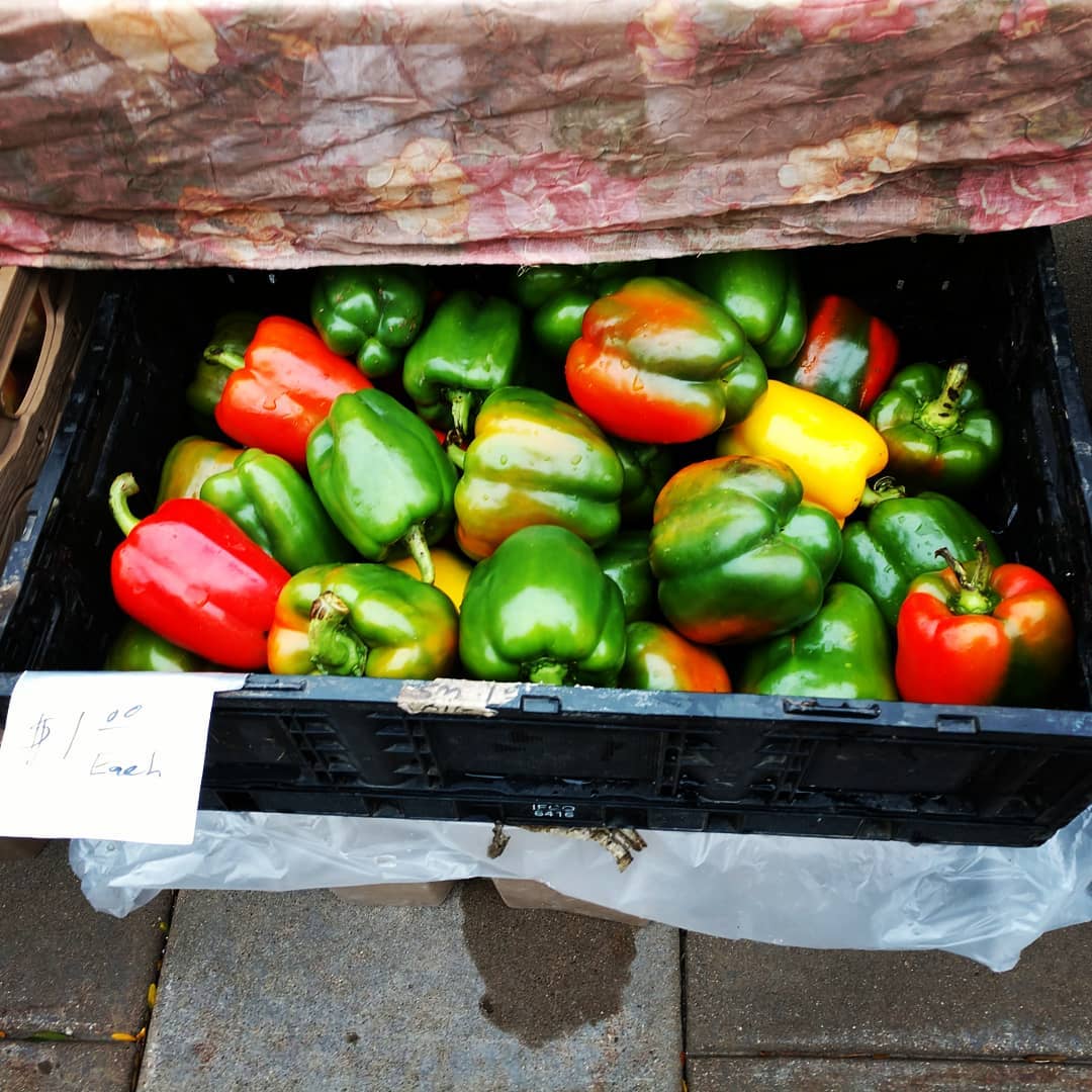 Red Wing Area Farmers Market Minnesota Grown