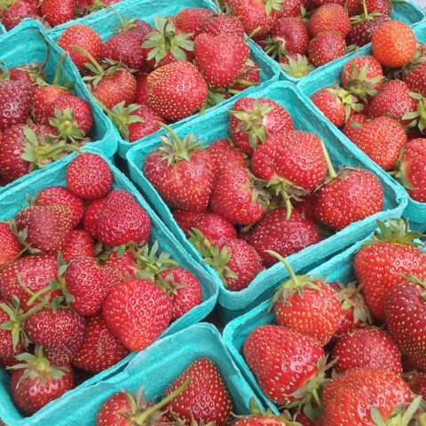 Display of fresh strawberries in small blue containers