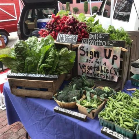 display of veggies with a sign saying to sign up for a vegetable CSA