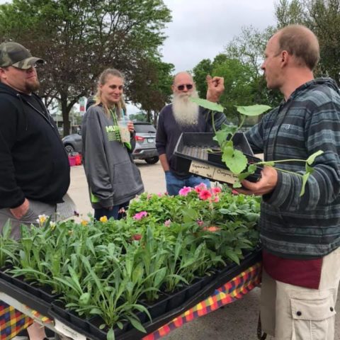 Vendor speaking to 3 customers about plant display