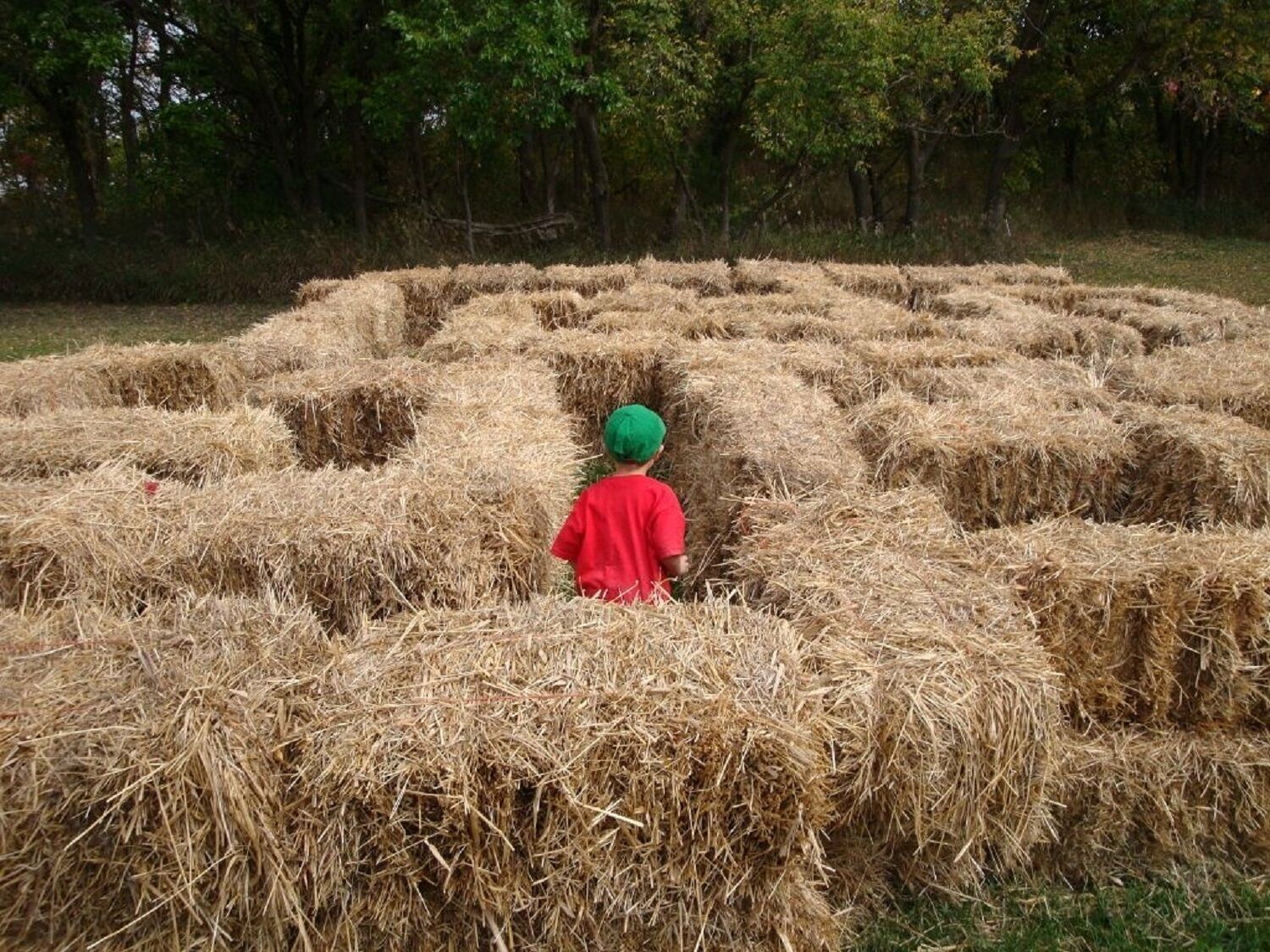 2019.07.31 Submitted Center Creek Orchard hay bale maze Minnesota Grown
