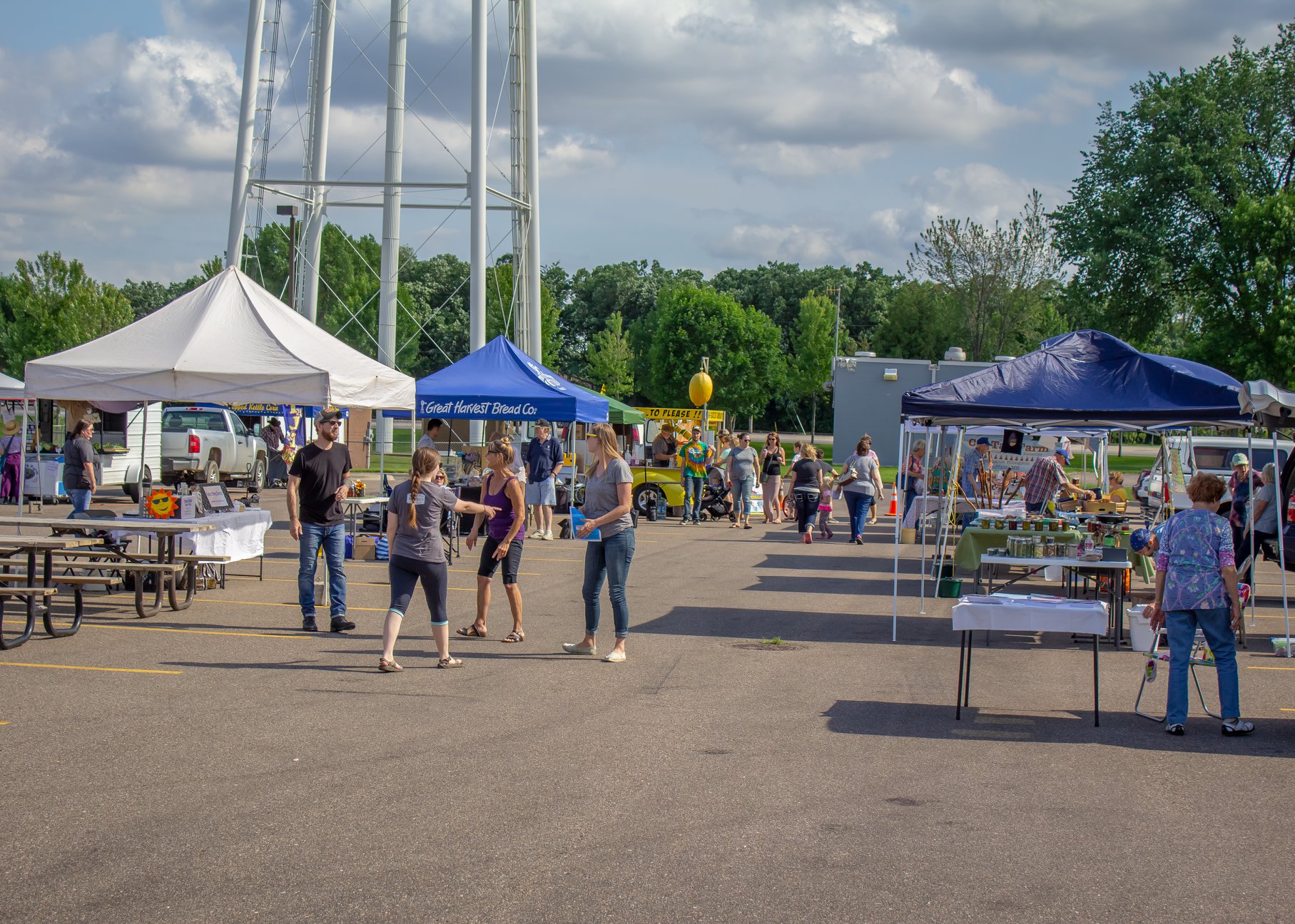 2019.08.15 Submitted Big Lake Farmers Market market Overview