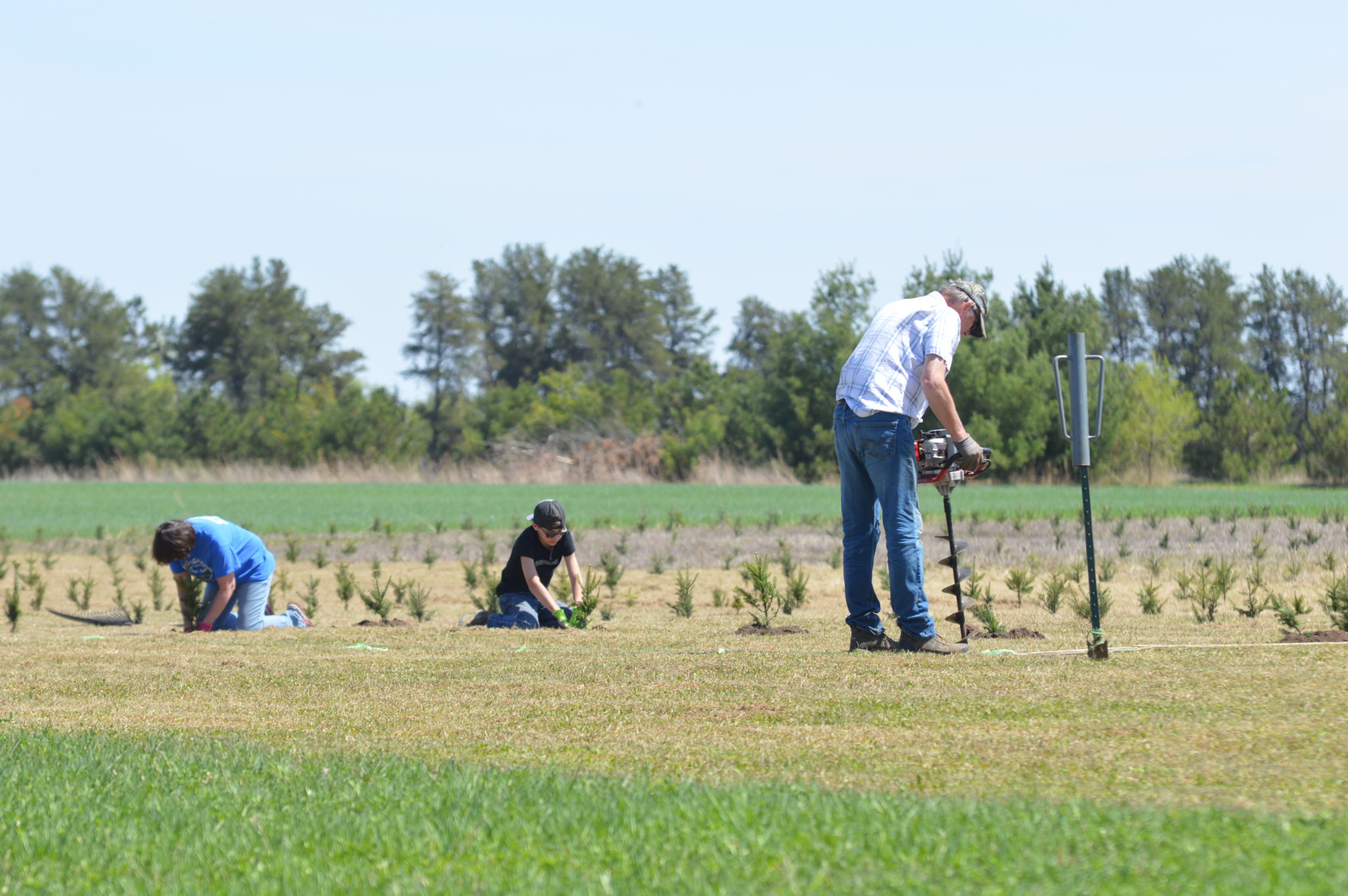2019.11.8 Submitted Wee Trees planting trees Minnesota Grown