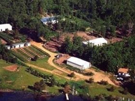 Aerial view of emu ranch